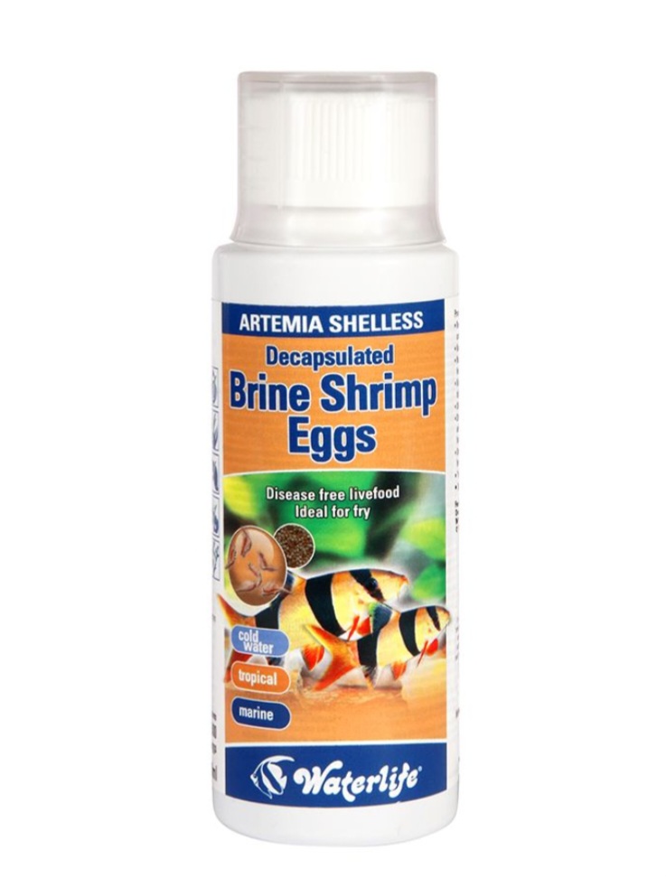 Waterlife Artemia Decapsulated Brine Shrimp Eggs (Shell-less)